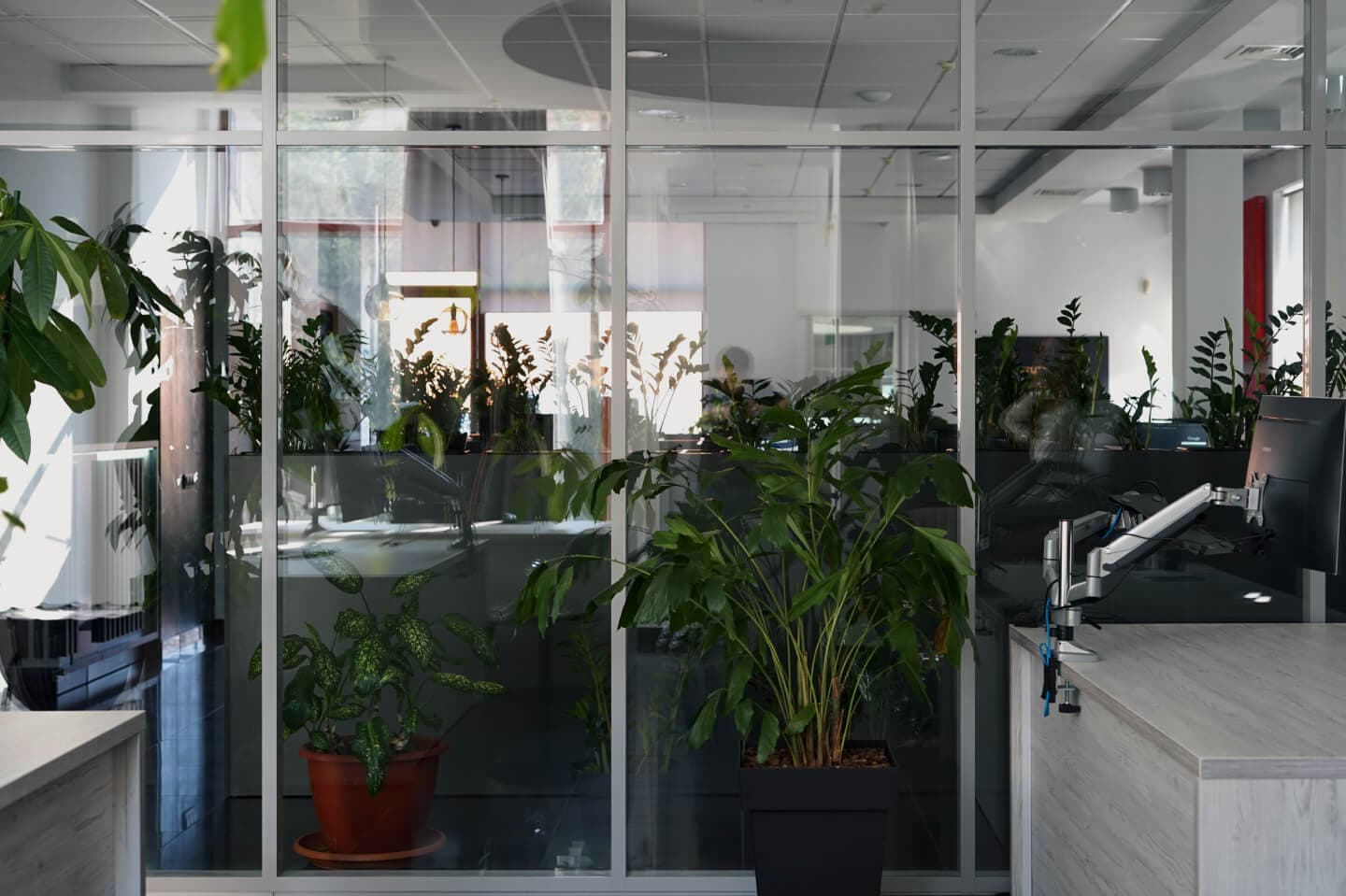 alkima büro